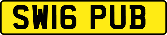 SW16PUB