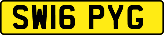 SW16PYG