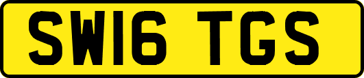 SW16TGS