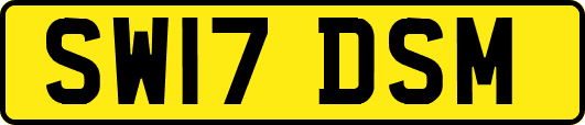 SW17DSM