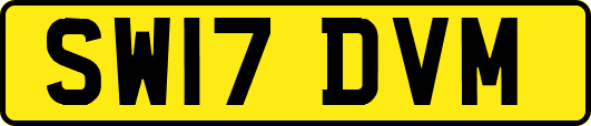 SW17DVM