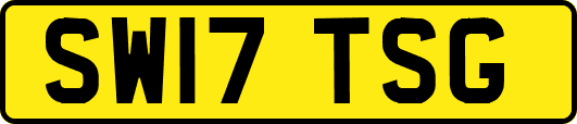 SW17TSG