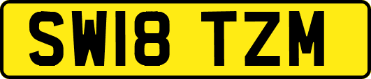 SW18TZM