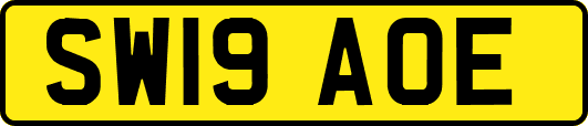 SW19AOE