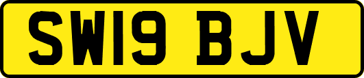 SW19BJV