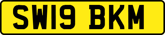 SW19BKM