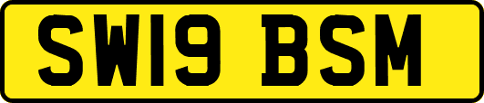 SW19BSM