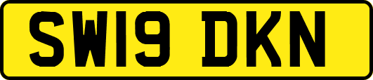 SW19DKN