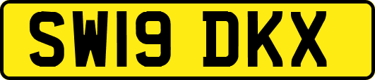 SW19DKX