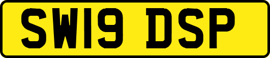 SW19DSP