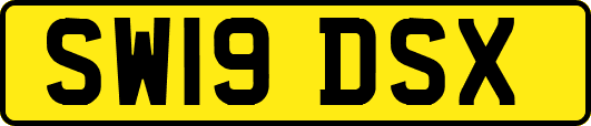 SW19DSX