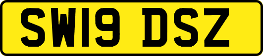 SW19DSZ