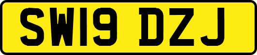 SW19DZJ