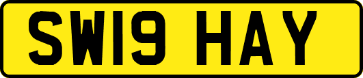 SW19HAY