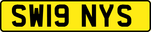 SW19NYS