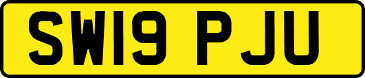 SW19PJU