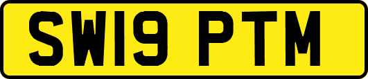 SW19PTM