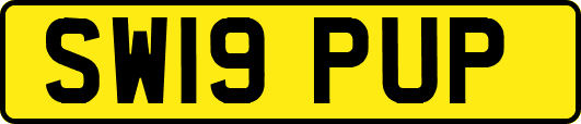 SW19PUP