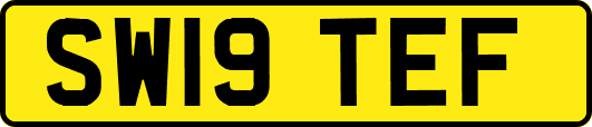 SW19TEF