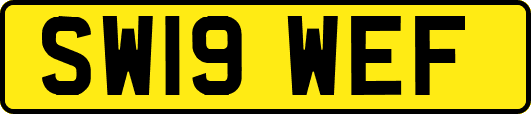 SW19WEF