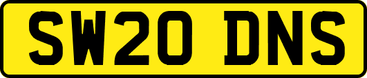 SW20DNS