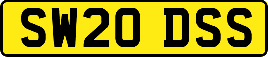 SW20DSS