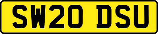 SW20DSU