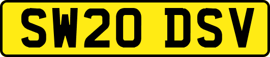 SW20DSV