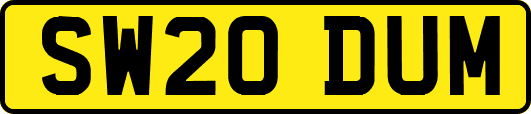 SW20DUM
