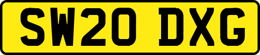 SW20DXG