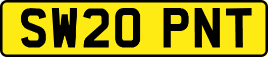 SW20PNT