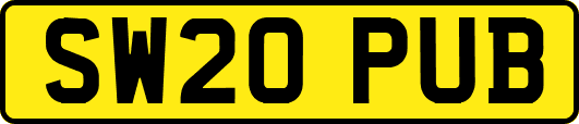 SW20PUB
