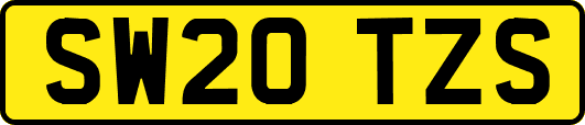 SW20TZS