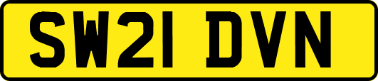 SW21DVN
