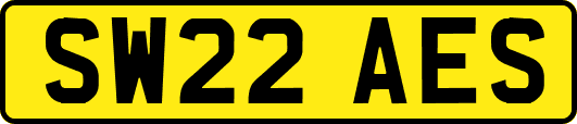 SW22AES