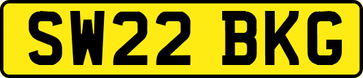 SW22BKG