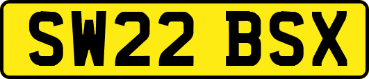 SW22BSX