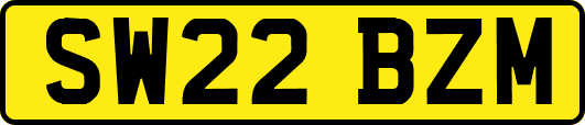 SW22BZM