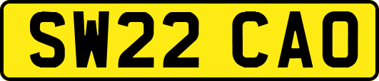 SW22CAO