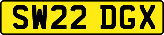 SW22DGX