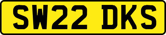 SW22DKS