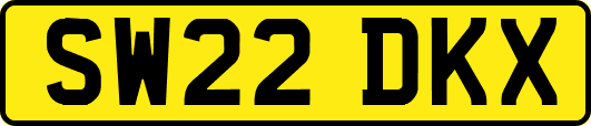 SW22DKX