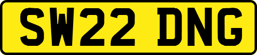 SW22DNG