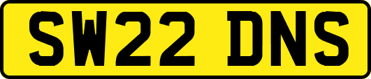 SW22DNS