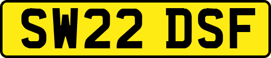 SW22DSF