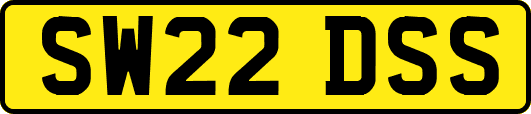SW22DSS