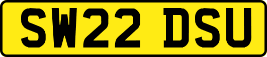 SW22DSU