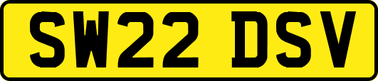 SW22DSV