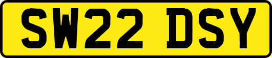 SW22DSY