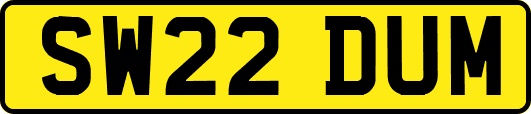 SW22DUM